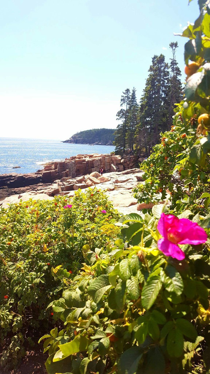 Acadia
