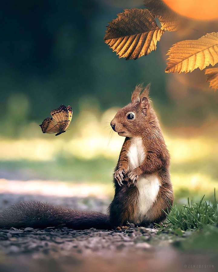 La natura