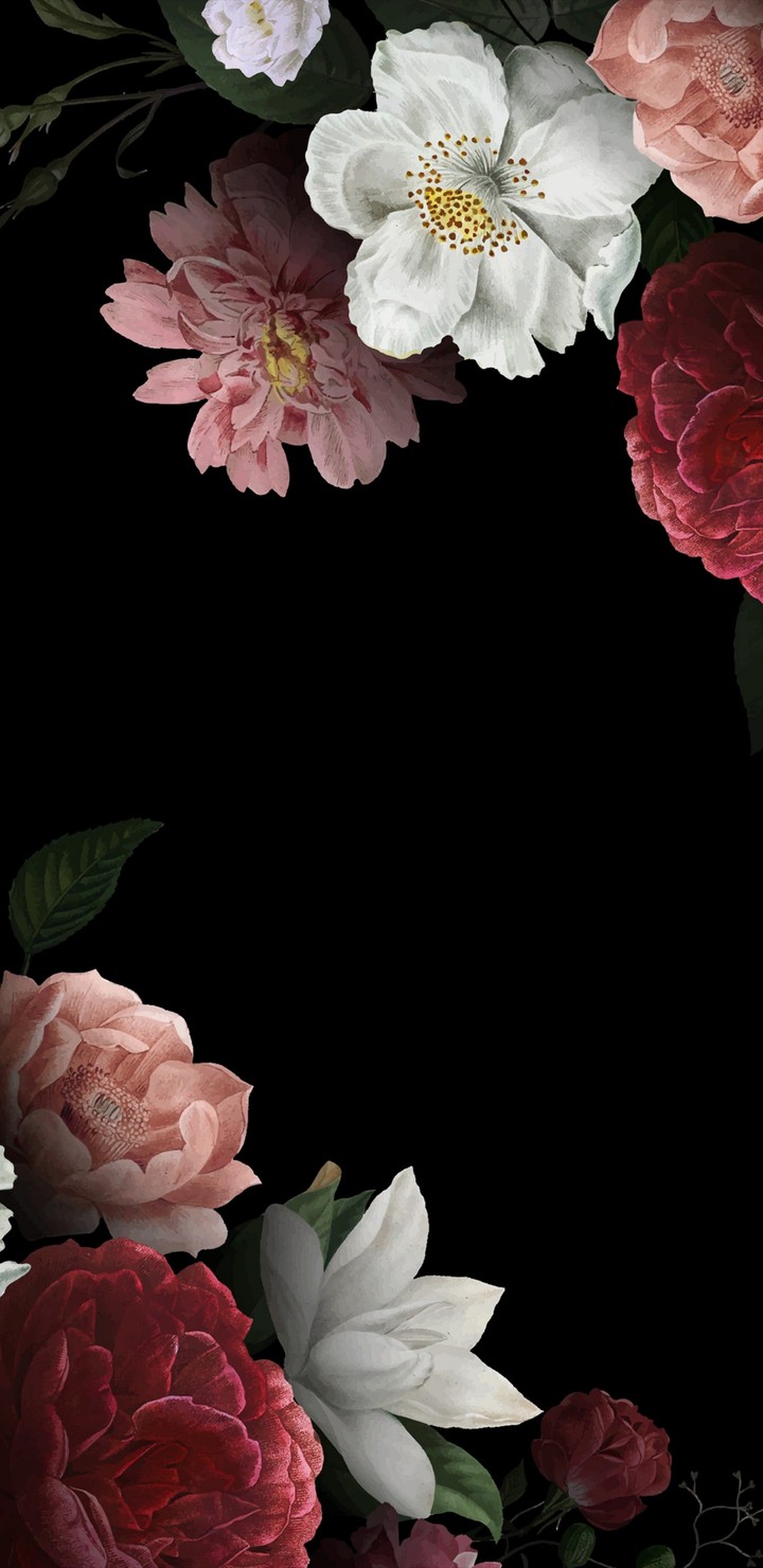 flowers and roses