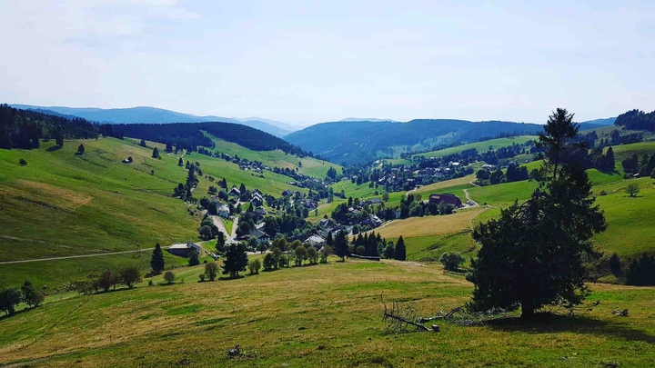 todtnauberg im Herbst