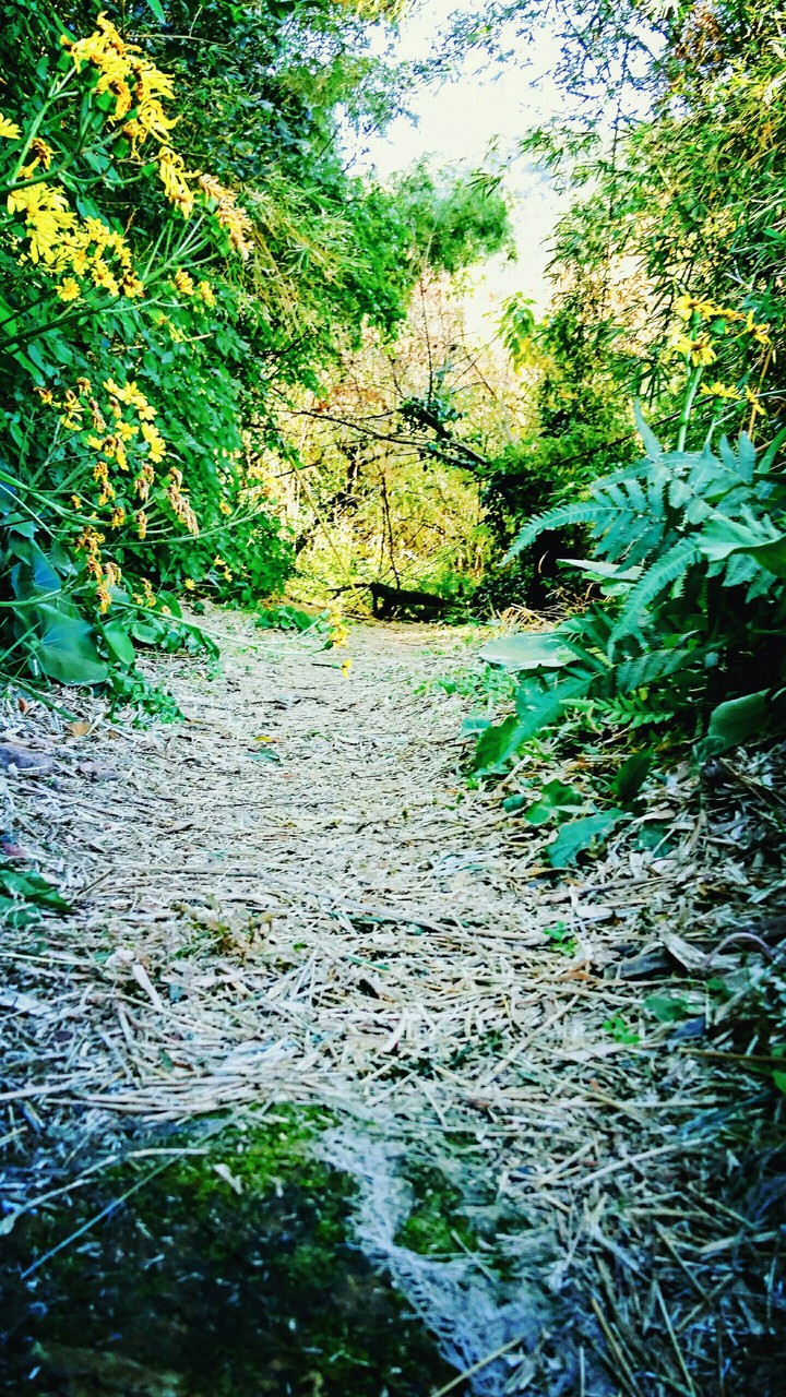 road