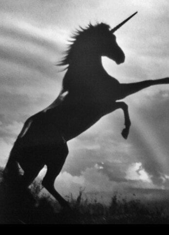 unicorn