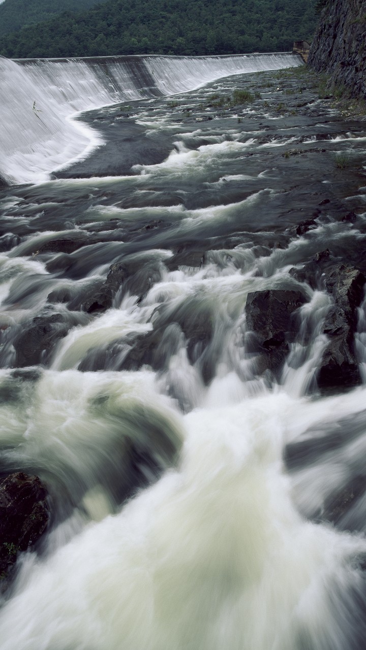 Stream