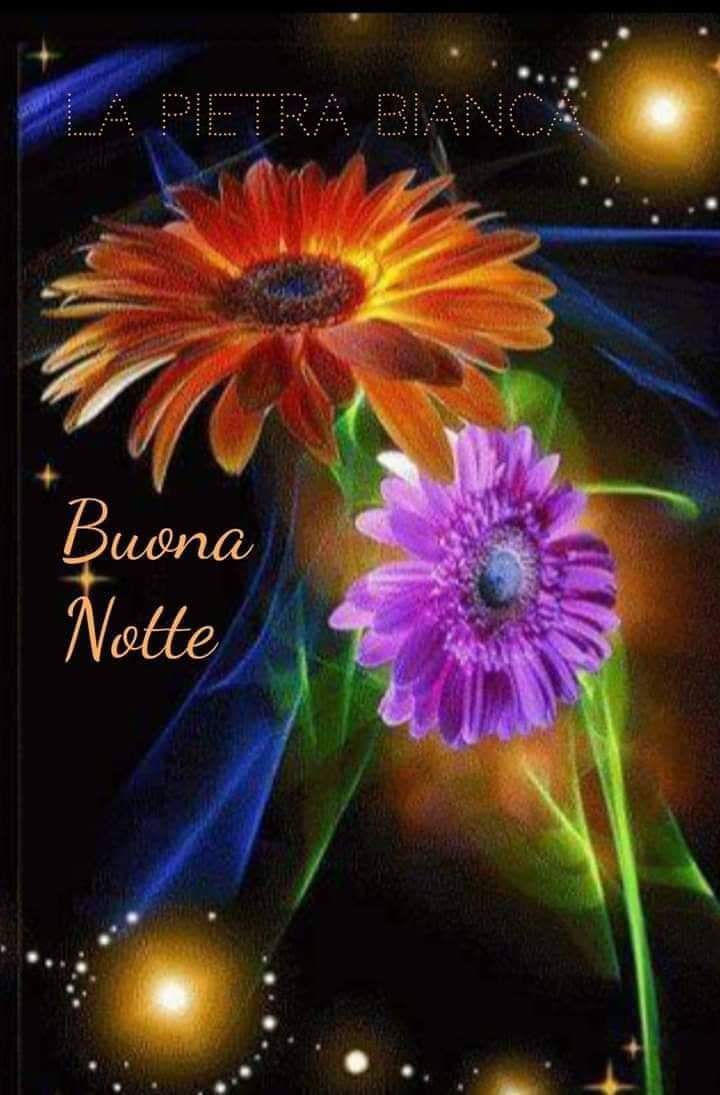 nonché buena