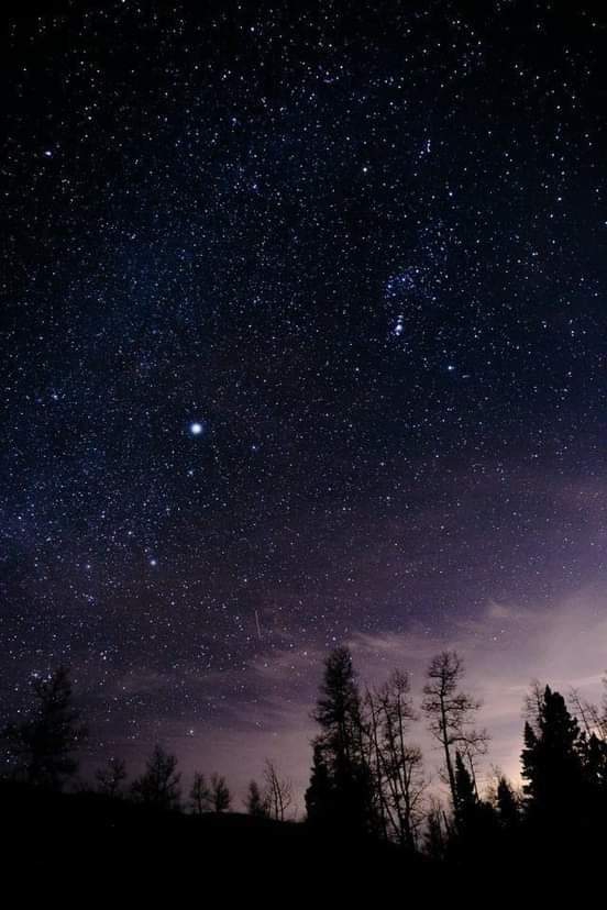 noche