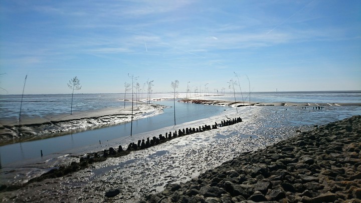 Priel