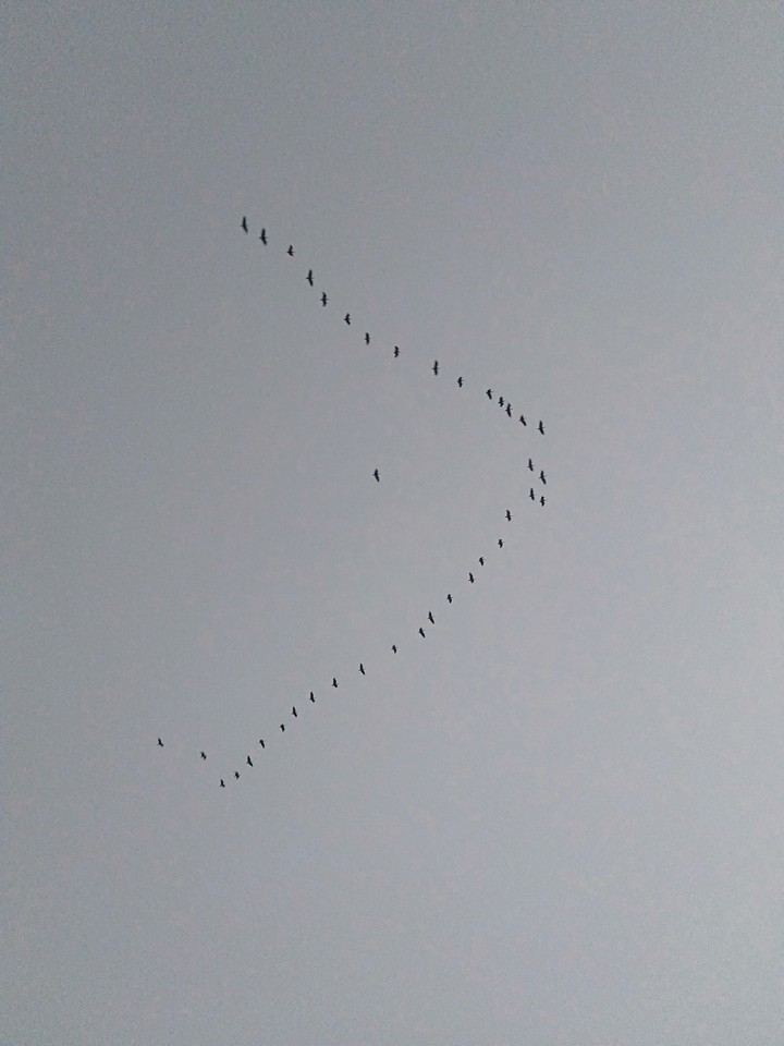 open sky for all