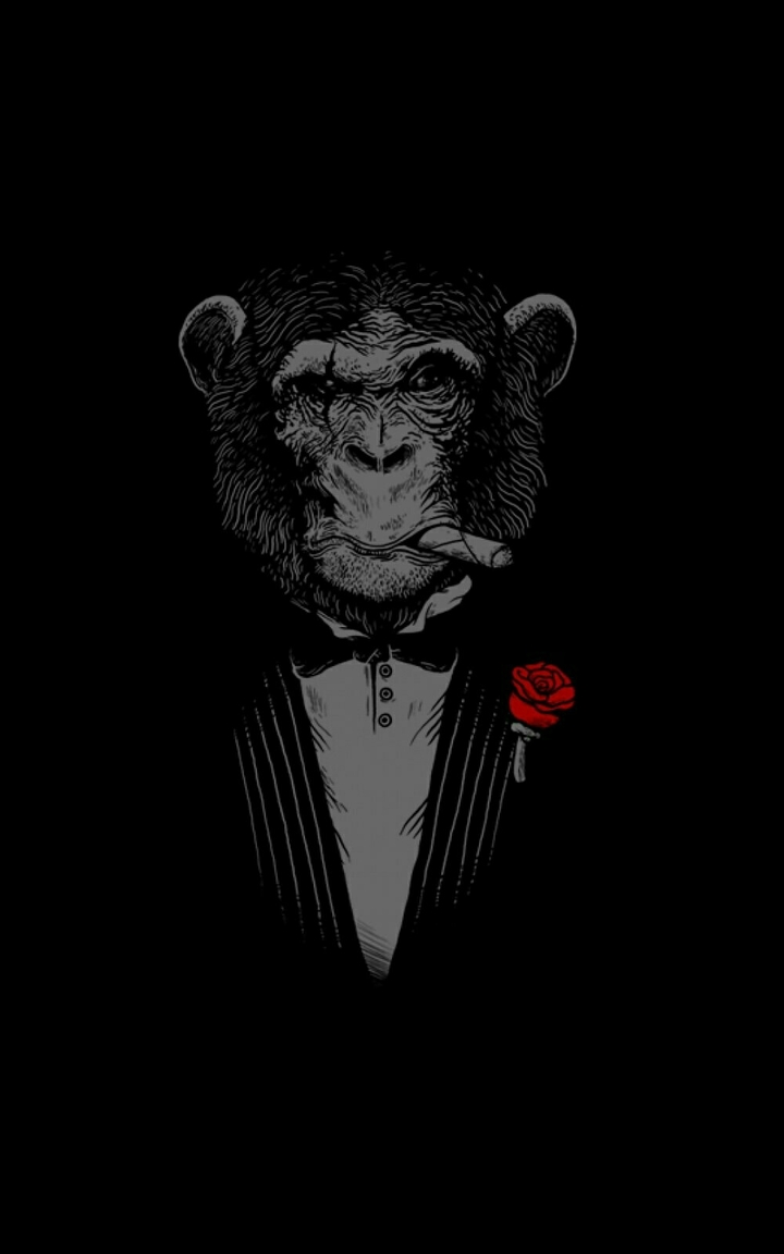 Monkey