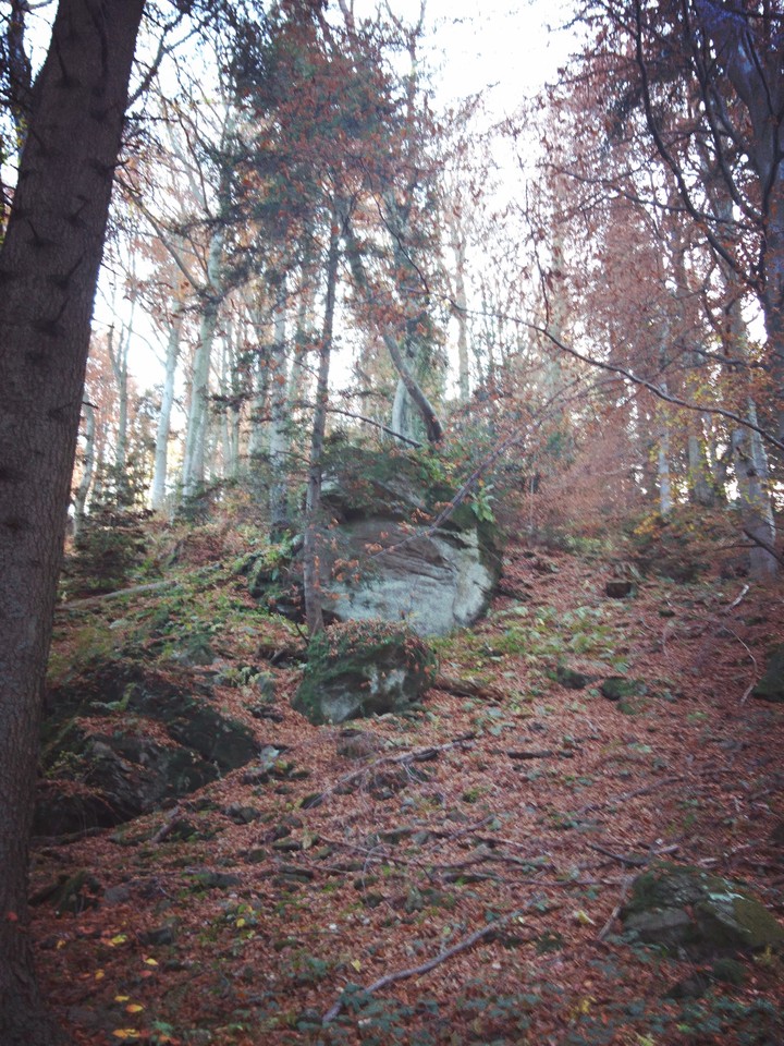 Skala