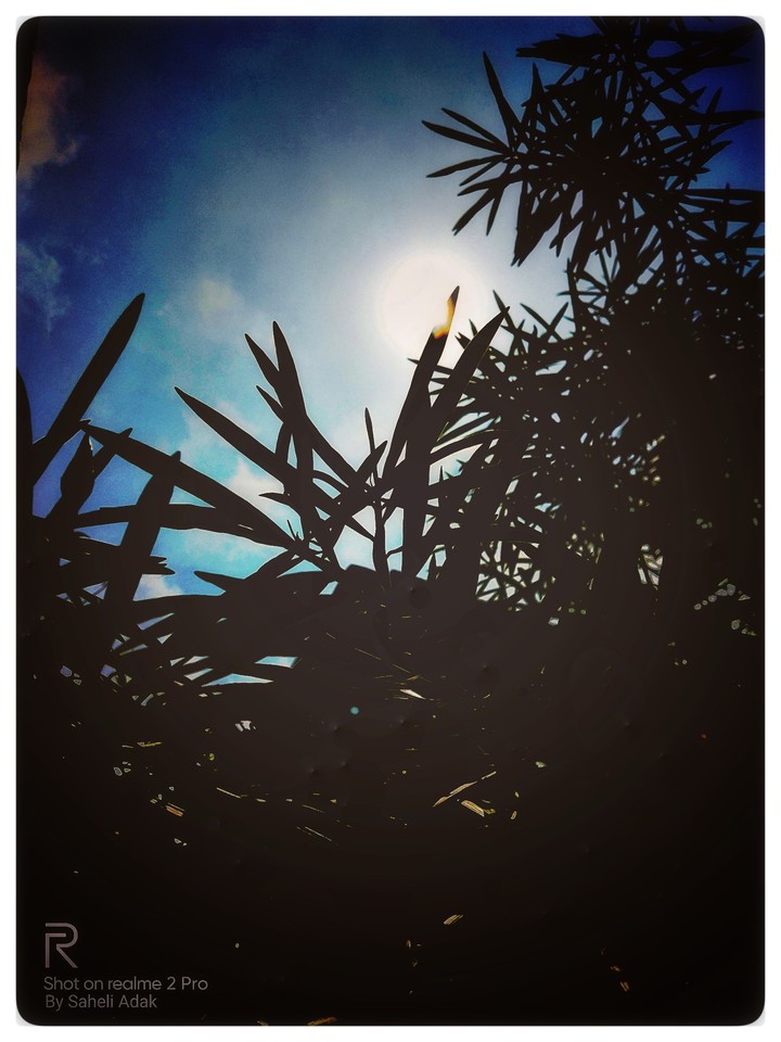 nature