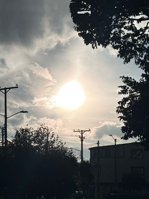 обои sun, sunlight