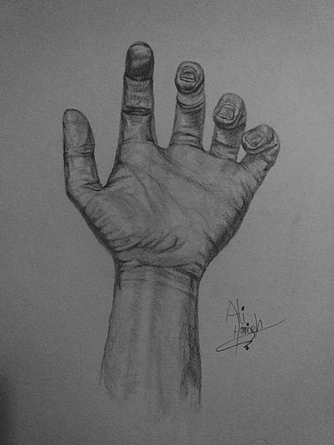 pencil drawing