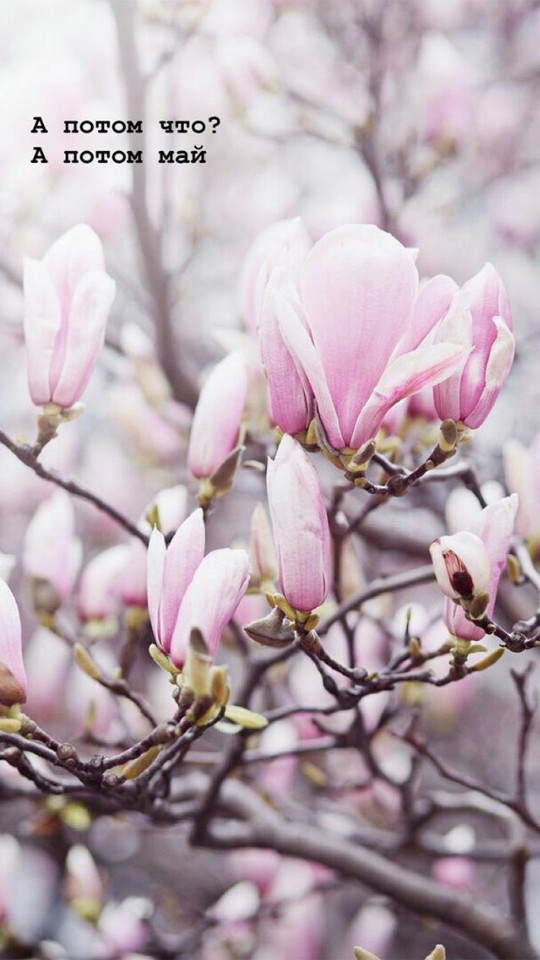 spring came