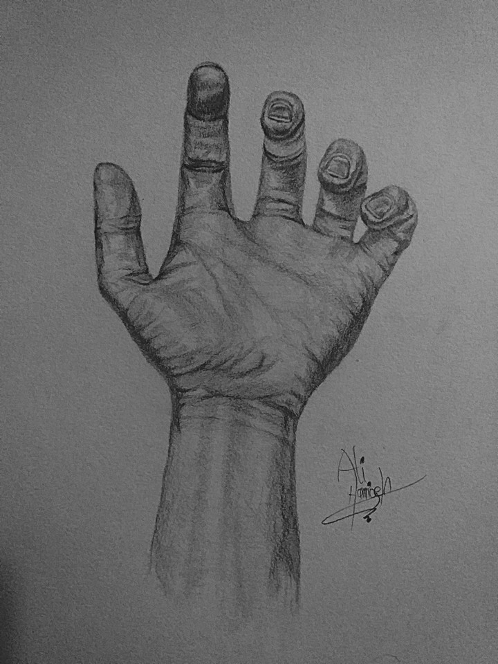 pencil drawing