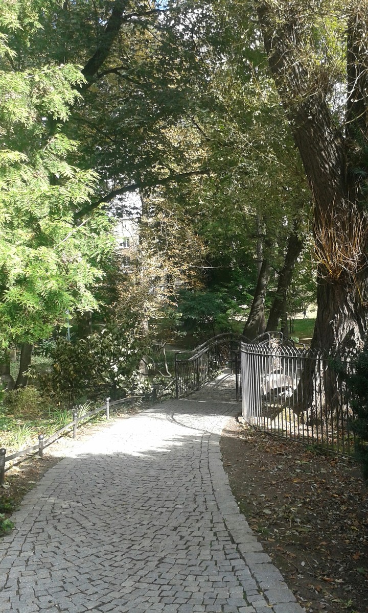 bridge