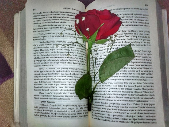 book and rose