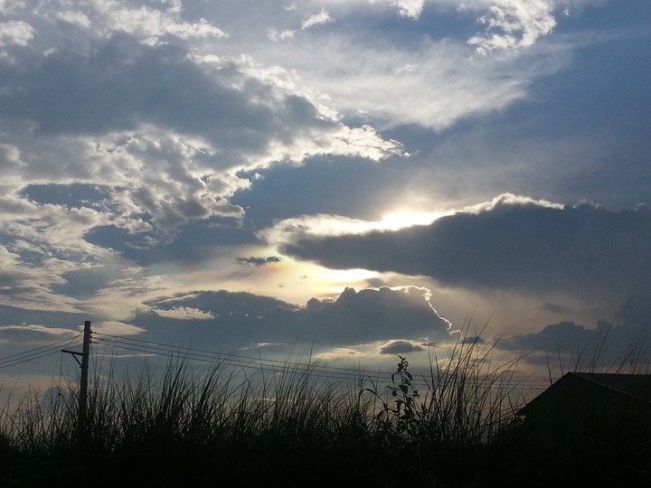 unexpected beauty