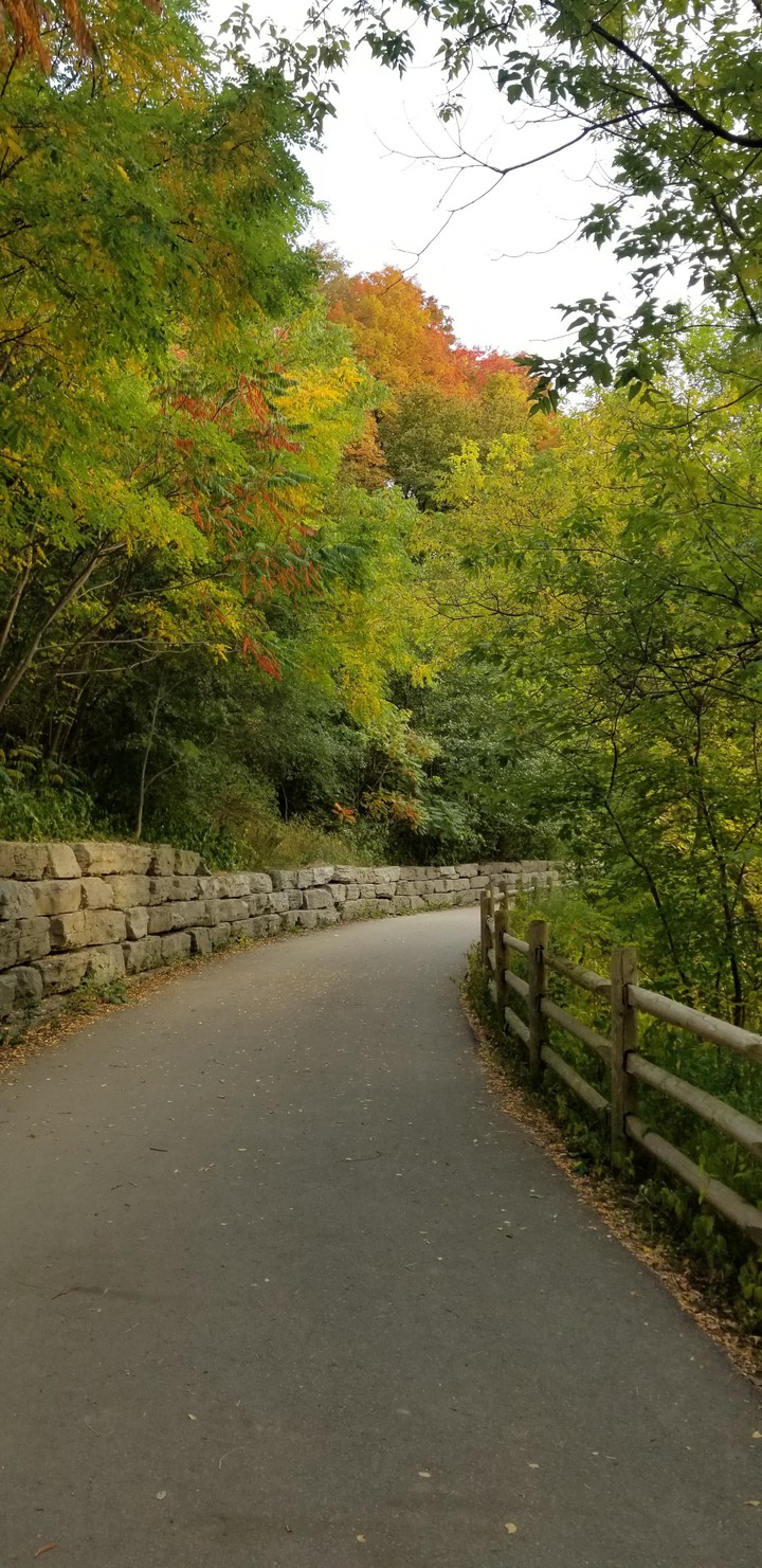 fall