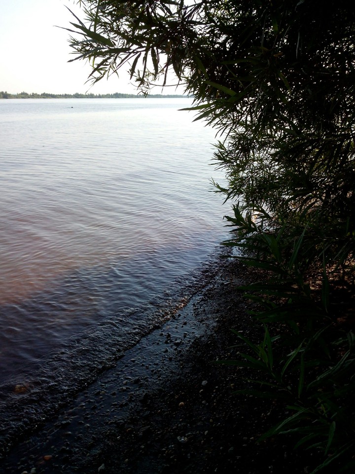 берег