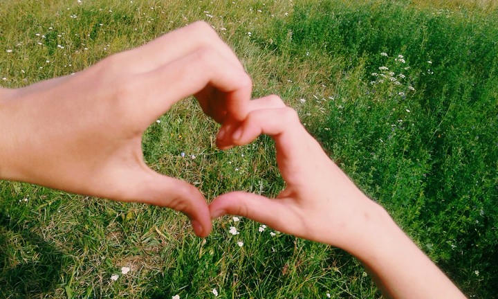 heart