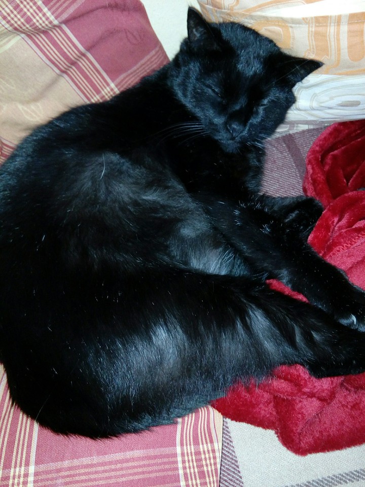 Mikuláš