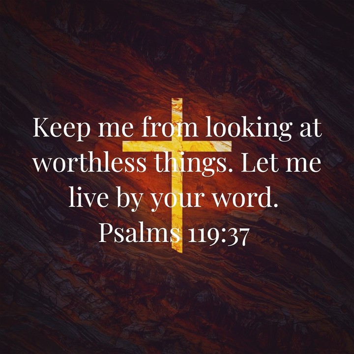 bible verse