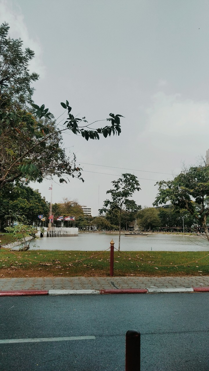 university