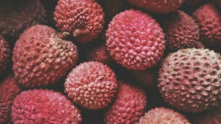 Litchi