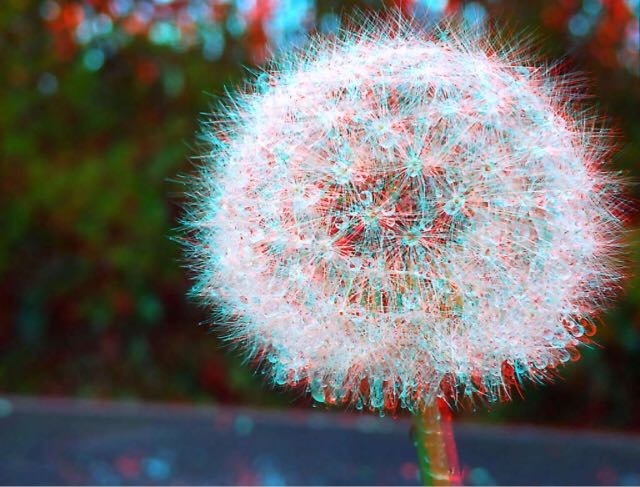 3D картинка для очков