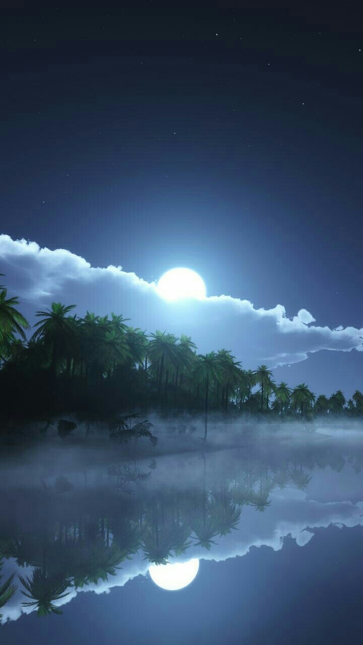 moonlight