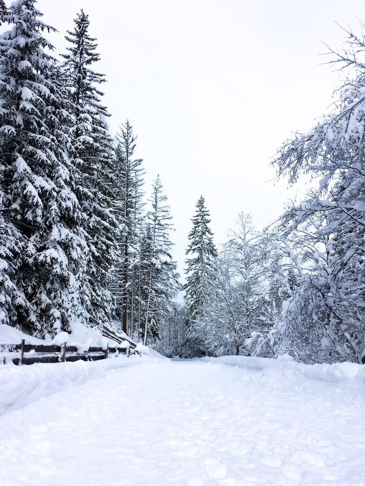 winter is here