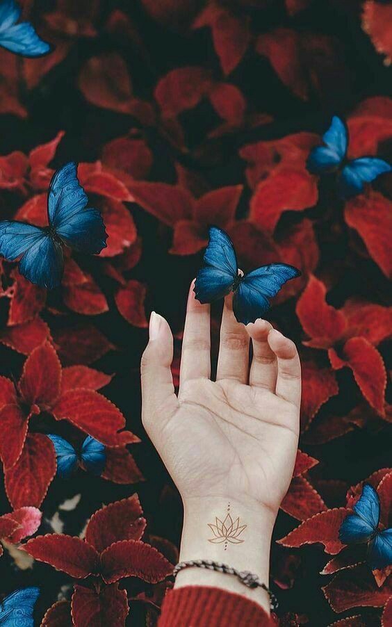BEAUTIFUL