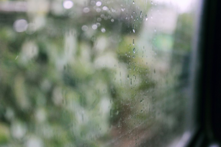 water droplets on the rain