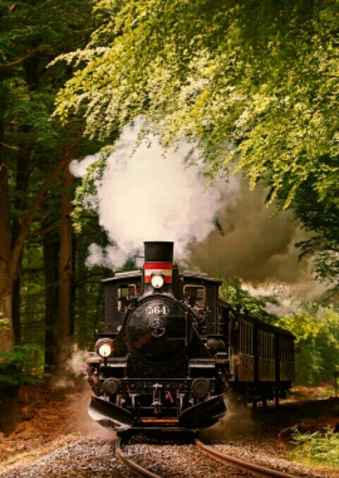Tren