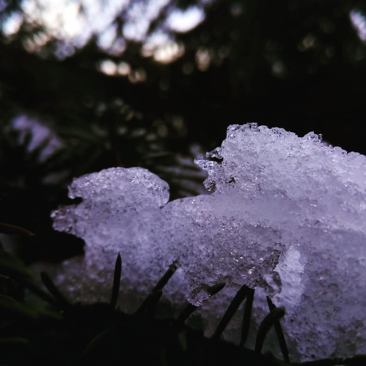 the snow