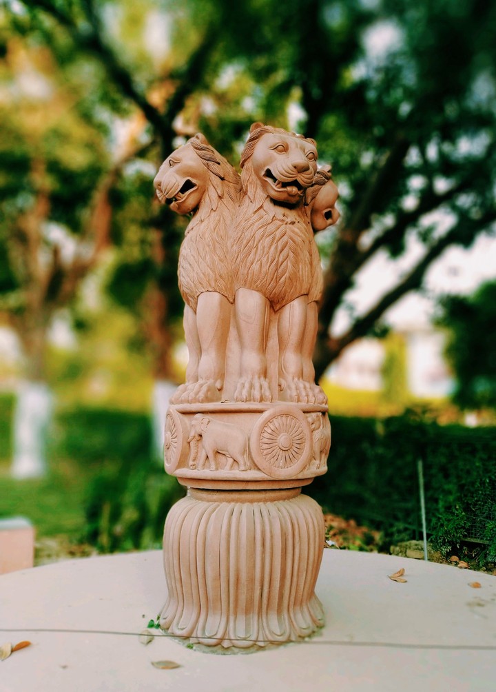 The pillars of Ashoka