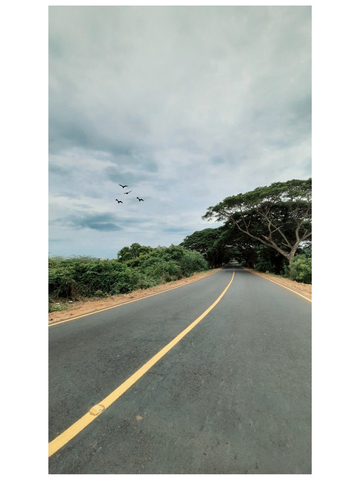 Roads of South India