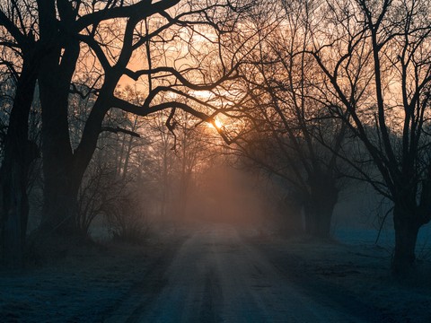 tapety atmosphere, sunlight