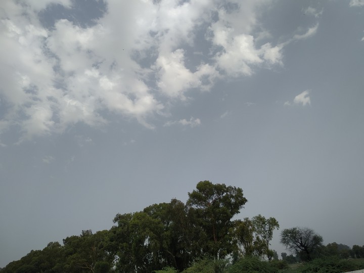 beautiful nature???