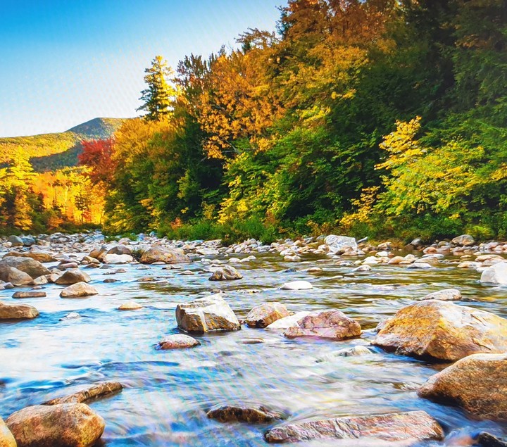 nature