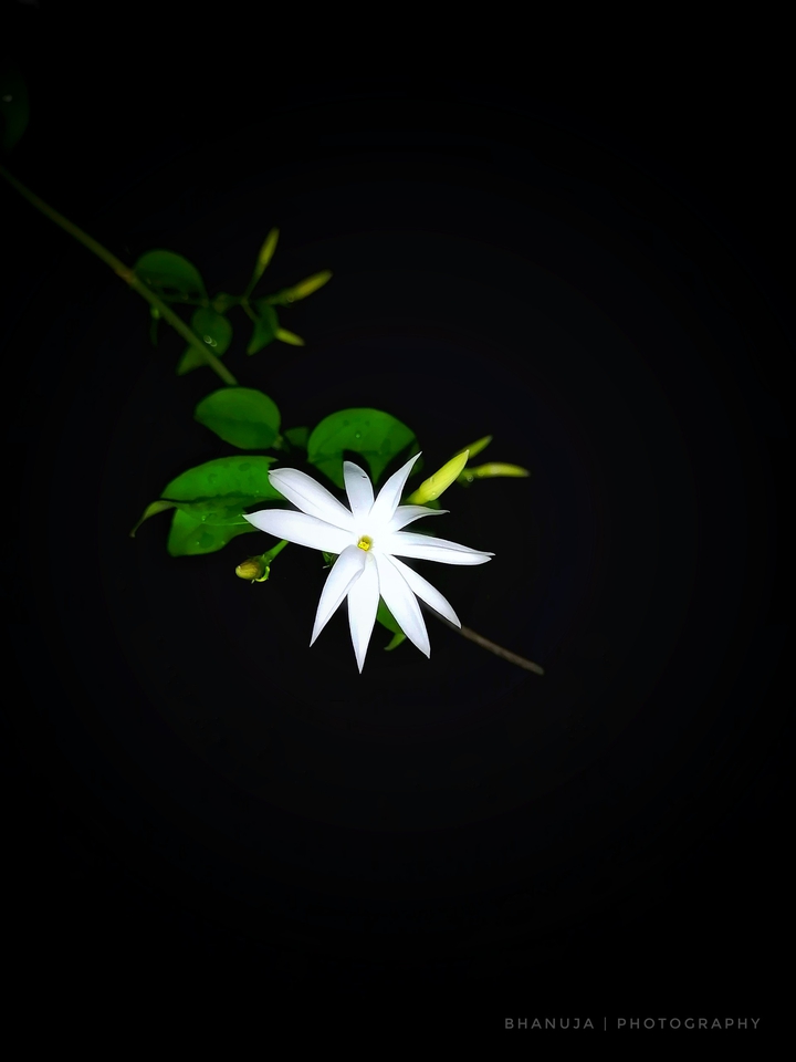 Pure...