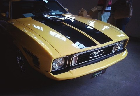 Mustang Mach 1