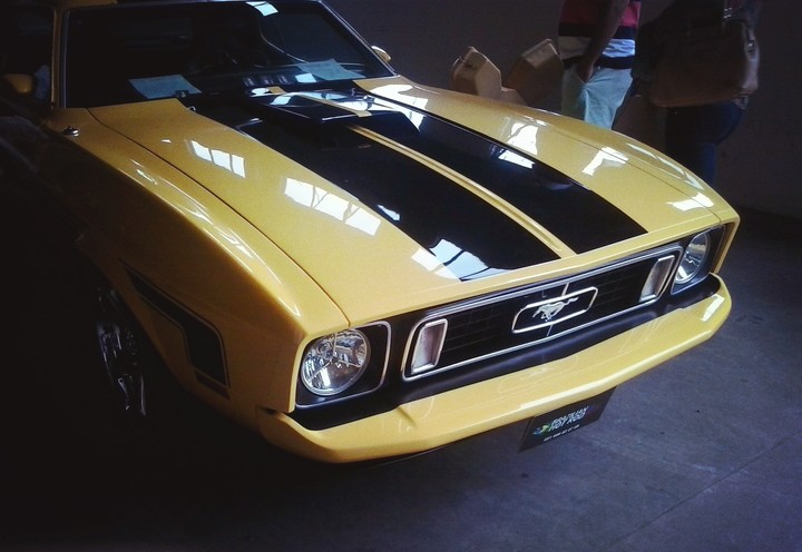 Mustang Mach 1