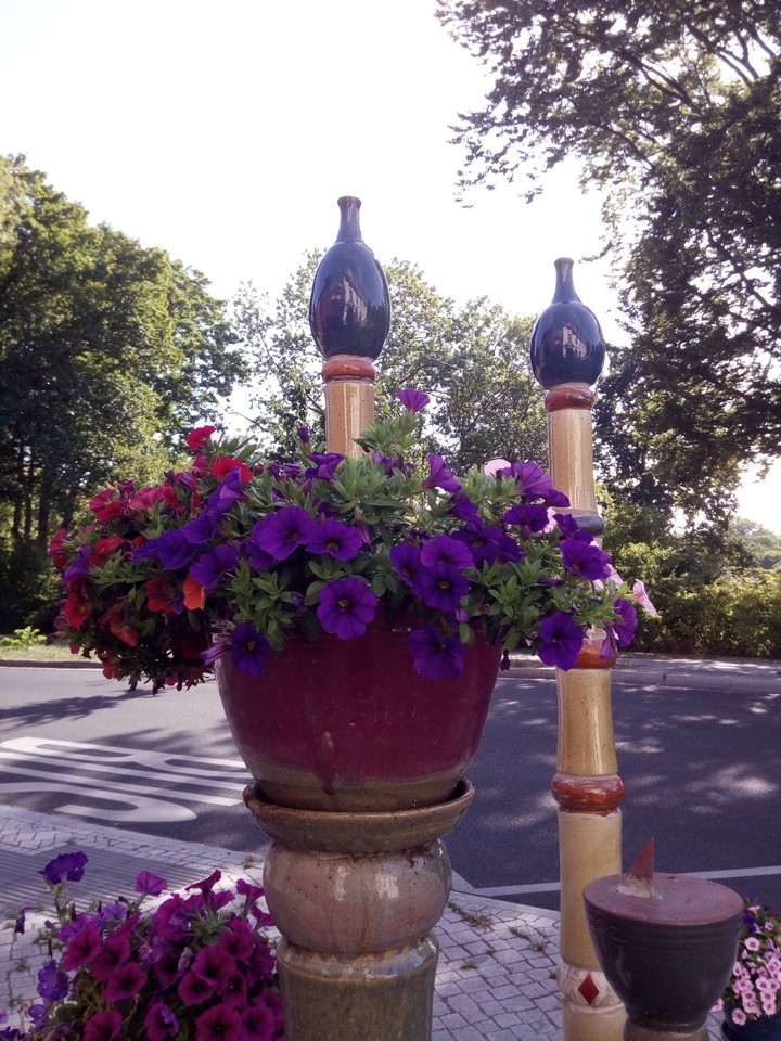 Flpwers in the City