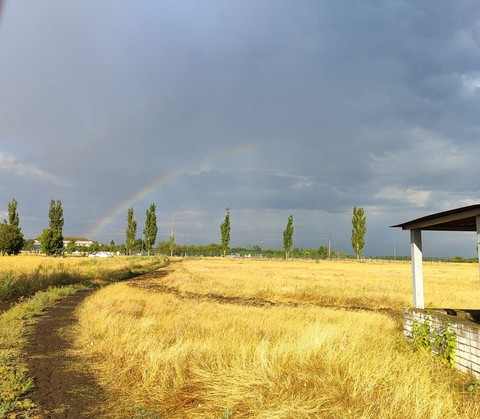 sfondi landscapes, ecoregion