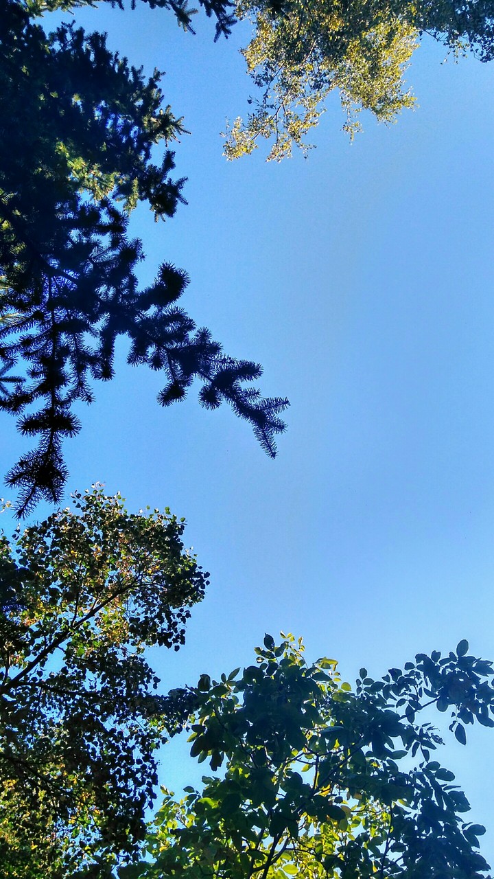 The autumn is coming...