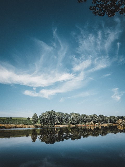 lightroom
