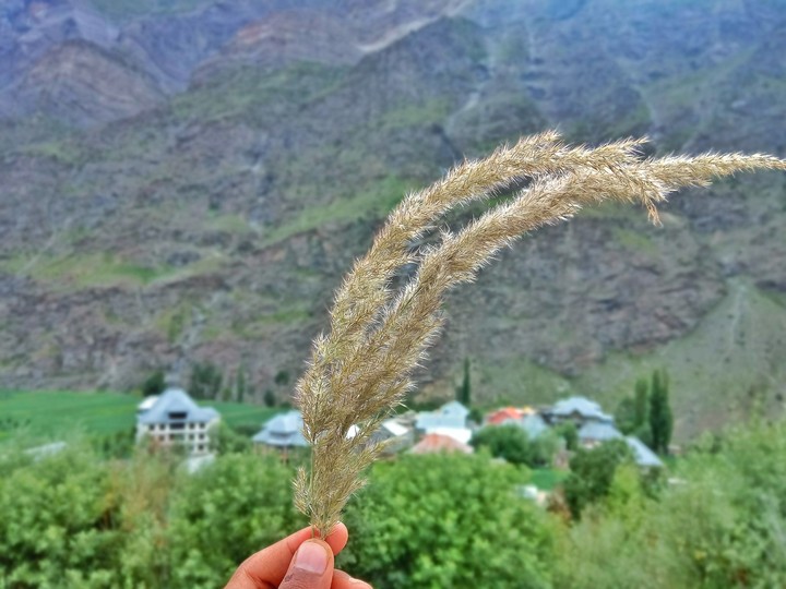 Lahoul, India