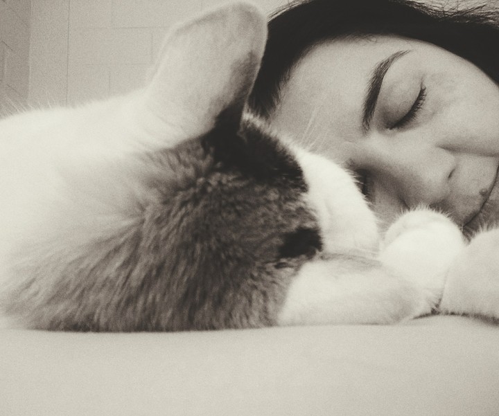 zzz