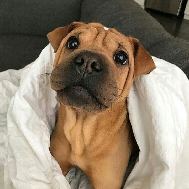 ^-^
